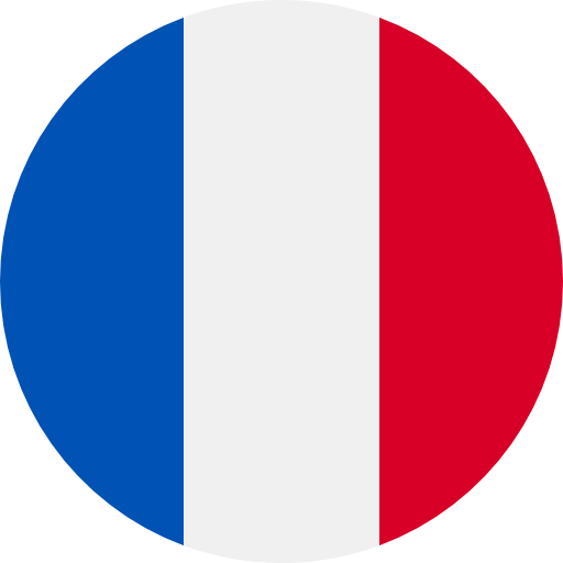 Din komplette guide til den britiske ETA for franske statsborgere