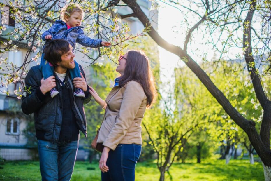 Il Ministro dell'Interno blocca il previsto aumento degli stipendi dei visti per le famiglie in attesa della revisione del MAC